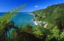 Paparoa National Park - South Island - New Zealand