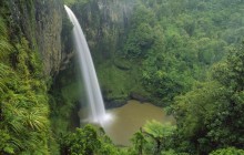 Bridal Veil Falls - Near Raglan - New Zealand