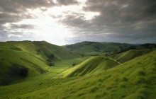 Rolling Hills of New Zealand - New Zealand