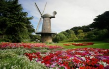 North Dutch Windmill and Queen Wilhelmina Tulip Gardens - San Francisco