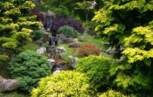 Japanese Tea Garden - Golden Gate Park - San Francisco