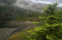 Fords Terror Mist - Tongass National Forest - Alaska