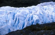 Exit Glacier - Kenai Peninsula - Alaska