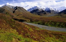 The Alaska Range and Tundra - Denali National Park - Alaska