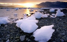 Glacial Icebergs - Icy Bay - Alaska