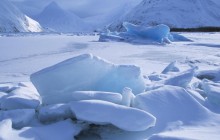 Icebergs Within a Frozen Lake - Alaska