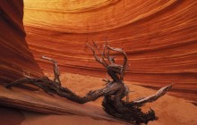 Slickrock Formation - Paria Canyon - Arizona