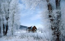 Winter Wonderland - Steamboat Springs - Colorado