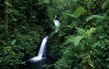 Waterfall - Monteverde Cloud Forest Reserve - Costa Rica