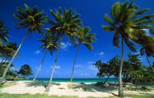 Bacardi Beach - Cayo Levantado - Dominican Republic