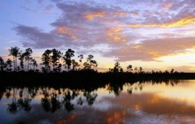 Everglades National Park at Sunset - Florida