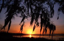 Sunset Light on the Myakka River - Florida