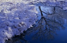 Winter Reflection - Lisle - Illinois