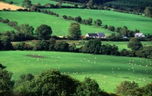 Fields and Farmhouses of County Cork - Ireland