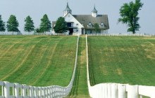 Manchester Farm - Lexington - Kentucky