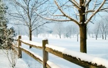 Fresh Fallen Snow - Kentucky