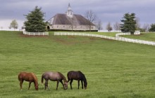 Donamire Horse Farm - Near Lexington - Kentucky