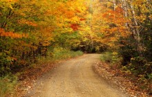 Autumn Color - Baxter State Park - Maine