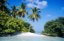 Tropical Island - North Male Atoll - Maldives