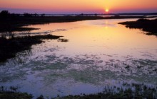 Marshlands Sunset - Assateague Island - Maryland