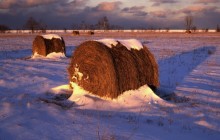 Sunset Light on a Field of Hay Rolls - Shores of Lake Huron - Michigan