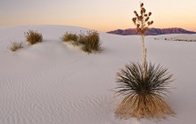 White Sands at Sunrise - New Mexico