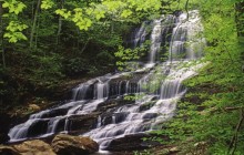 Pearson's Falls - Owned by the Tryon Garden Club - North Carolina