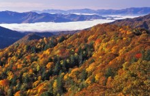 Thomas Divide and River of Fog - Great Smoky Mountains - North Carolina