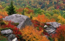 Rocky Outcropping in Autumn -  Blue Ridge Parkway - North Carolina
