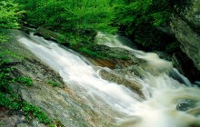 Wilson Creek - Pisgah National Forest - North Carolina