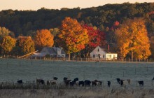 Farm in Hocking Hills - Ohio