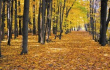 Autumn Pathway - Rocky River - Ohio