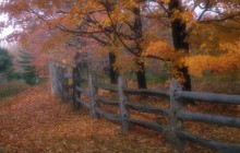 Country Fence - Ohio
