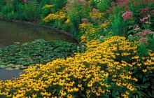 Garden Pond - Holden Arboretum - Cleveland - Ohio