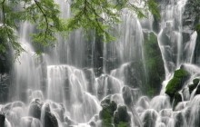 Ramona Falls - Mount Hood Wilderness - Oregon