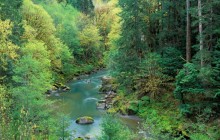 Coquille River in Spring - Siskiyou Forest - Oregon