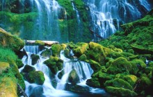 Proxy Falls - Willamette National Forest - Oregon