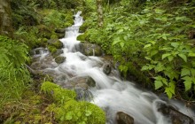 Spring Creek Cascades - Oregon