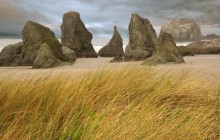 Dune Grass and Seastacks - Bandon - Oregon