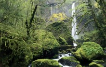Elowah Falls - Columbia River Gorge Scenic Area - Oregon