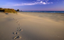 Footprints in the Sand Coast - Oregon