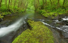 Nestucca River - Oregon