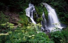Cascading Waterfall - Umpqua National Forest - Oregon