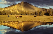 Mountain Reflection - Near Smith Rock Park - Oregon