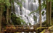 Ramona Falls - Mount Hood Wilderness HD wallpaper - Oregon