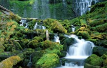Proxy Falls - Cascade Range - Oregon