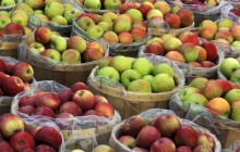 Macintosh Apples in Bushel Baskets - New York - New York