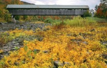Covered Bridge at North Blenheim - New York