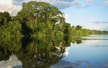 Pacaya-Samiria National Peserve - Amazonia - Peru