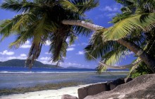 Seychelles Shoreline - Seychelles